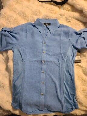 Ashley Blue 26 International Light Blue or Pink Short-Sleeve Button-Down Top